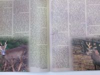 Hubertlov - Časopis pre polovníkov a všetkých ostatných priatelov prírody 5 (2000) VII. - slovensky