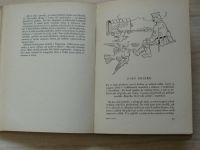 Josef Kopta - Poštovní holub číslo 17 (1947) věnování a podpis autora J.K.