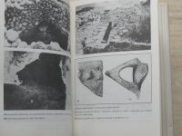 Bardtke - Příběhy ze starověké Palestiny - Tradice, archeologie, dějiny (1990)