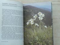 Soják - Kapesní atlas - rostliny našich hor (1989)