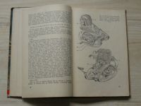 Túma - Učebnice řidiče motocyklisty (1954)