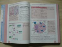 Male, Brostoff, Roth, Roitt - Imunology - Seventh Edition (2006)