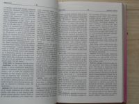 Minařík - Malý mystický slovník (1992)