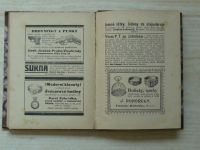 Mladý - Soumrak četnictva - Satirický román četnické budoucnosti (Knihovna Četnického obzoru 1921)
