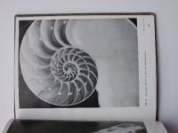 Oeser - Wunder der grossen und kleinen Welt - Ein Bilderwerk von den Formen und Kräften der Natur (1937)