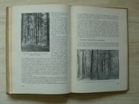Pěstování lesů Učební text pro stř. les. techn. školy