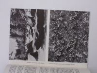 Chábera - Státní přírodní rezervace Čertova stěna (1962)