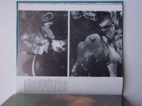 Alscher, Grambow, Krause, Rauschert - Unterwasserfotografie (1986) Podvodní fotografie - německy