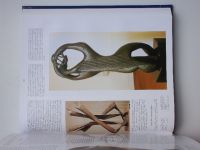 Larousse - Světové dějiny umění - Malířství, sochařství, architektura, užité umění (2004)