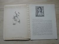Poštovní známka v díle Maxe Švabinského Soupis známkové tvorby : Katalog výstavy, Praha, prosinec 1963