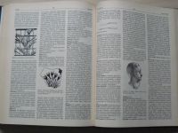 Výtvarné umění - Výkladový slovník - malířství, sochařství, grafika