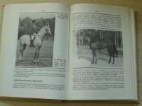 Ladislav Popluhár - Základy športového jazdenia na koni (1981) slovensky