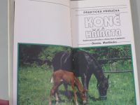Forota Modlińska - Koně a hříbata (1999)