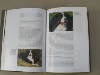 Esther Verhoef-Verhallen - Bernský salašnický pes (2001)