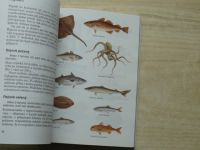 Štěpnička - Mořská kuchařka - Ryby, krevety, chobotnice, sépie a jiné dary moře (1997)