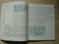 Civilizace moravského paleolitu a mezolitu - Katalog k expozici v Pavilonu Anthropos