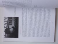 Kopáč ed. - Czech Literature at the Turn of the Millennium - Neue tschechische Literatur an der Jahrtausendwende (2003)