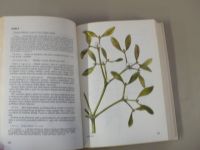 Korbelář, Endris - Naše rostliny v lékařství, il. Krejča (1990)