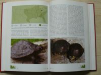 Zych - Želvy v přírodě a v péči člověka (2006)