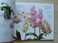 Rittershausen, Oakey - Průvodce krok za krokem - Orchideje - Pěstování - Aranžování (1995)
