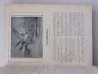 Reclams Universum - Moderne illustrierte Wochenschrift 2 (1910) ročník XXVI. - svázáno, německy