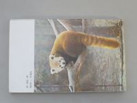 Zvířata celého světa 4 - Ivan Heráň - Medvědi a pandy (1978)