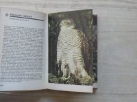Bouchner - Kapesní atlas ptáků (1975)