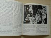 Guttuso opere dal 1938 al 1985 a cura di Vittorio Rubiu (1986)