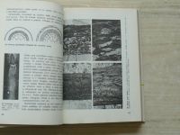 Botanika pro II. ročník gymnázií (SPN 1981)