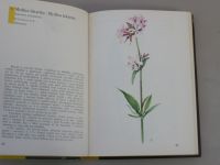 Pilát, Ušák - Kapesní atlas rostlin (1968)