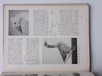 Unser Rassegeflügel - Hühner, Enten, Gänse, Puten, Perlhühner (1966) německá příručka o drůbeži
