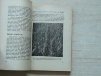 Klečka, Kunz - Směsky a sdružené kultury (1942) Zemědělská prakse sv. 18