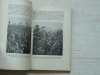 Klečka, Kunz - Směsky a sdružené kultury (1942) Zemědělská prakse sv. 18