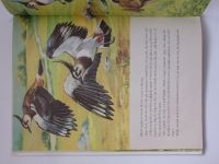 Det flyvende egern (1974) Létající veveruška - obrázková kniha pro děti v dánštině