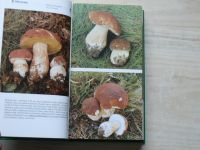 Erhartovi - Houbařský atlas - 425 fotografií jedlých a jedovatých hub