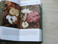 Erhartovi - Houbařský atlas - 425 fotografií jedlých a jedovatých hub