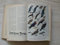 Hanzák, Hudec - Světem zvířat II. díl - Ptáci 1,2 (1963) 2 svazky