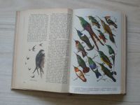 Hanzák, Hudec - Světem zvířat II. díl - Ptáci 1,2 (1963) 2 svazky