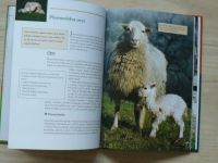Chováme ovce : rádce pro chov hospodářských zvířat