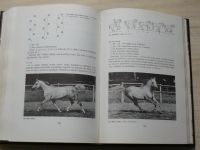Flade - Chov a športové využitie koní (1990) slovensky