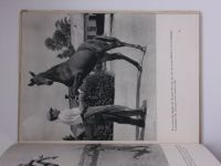 Chochola, Lejsková-Matyášová - Pferde (1959) fotografická publikace o koních - německy