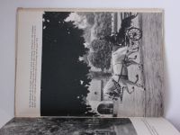 Chochola, Lejsková-Matyášová - Pferde (1959) fotografická publikace o koních - německy