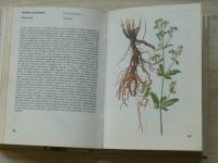 Jirásek - Kapesní atlas léčivých rostlin (1989)