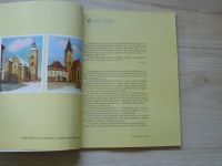 Louženský - Děkanský kostel narození Panny Marie ve Vodňanech (1996)