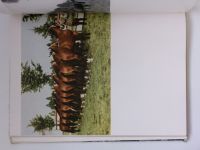 Temperament, Kraft, Harmonie (1964) fotografická publikace o koních - německy