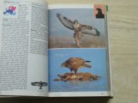 Průvodce přírodou - Sauer - Ptáci lesů, luk a polí (1995)