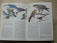 Svet živočíšnej ríše - Ilutrovaná encyklopédia (1978) slovensky