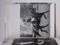 Hiefe, Schwark, Neisser - Hufe im Sand (1981) fotografická kniha o koních - německy
