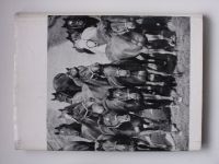 Hiefe, Schwark, Neisser - Hufe im Sand (1981) fotografická kniha o koních - německy