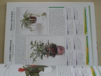 Pokojové rostliny - Rostliny v bytě - Podrobný průvodce pěstováním pokojových rostlin ...